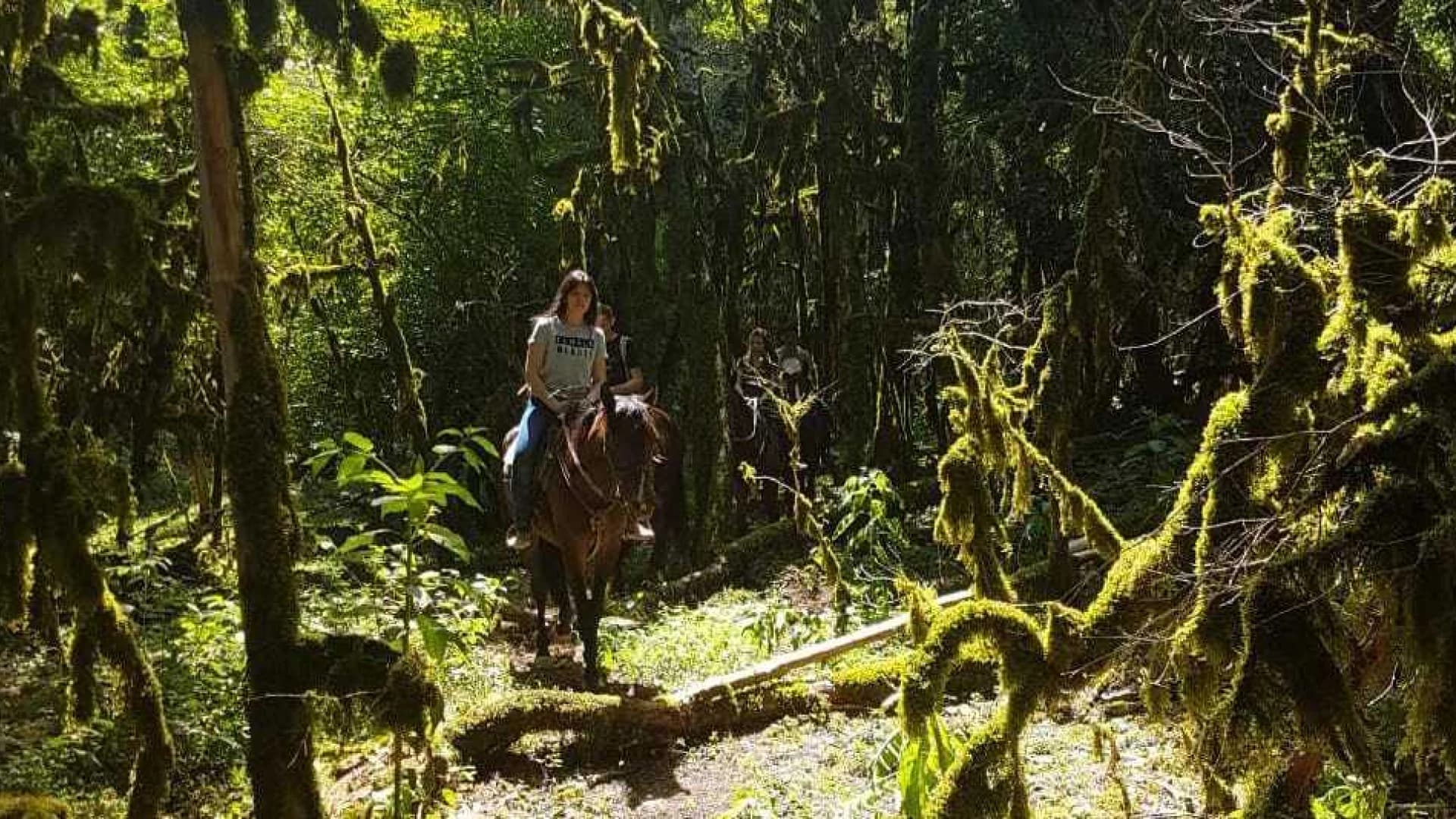 Изображение услуги1