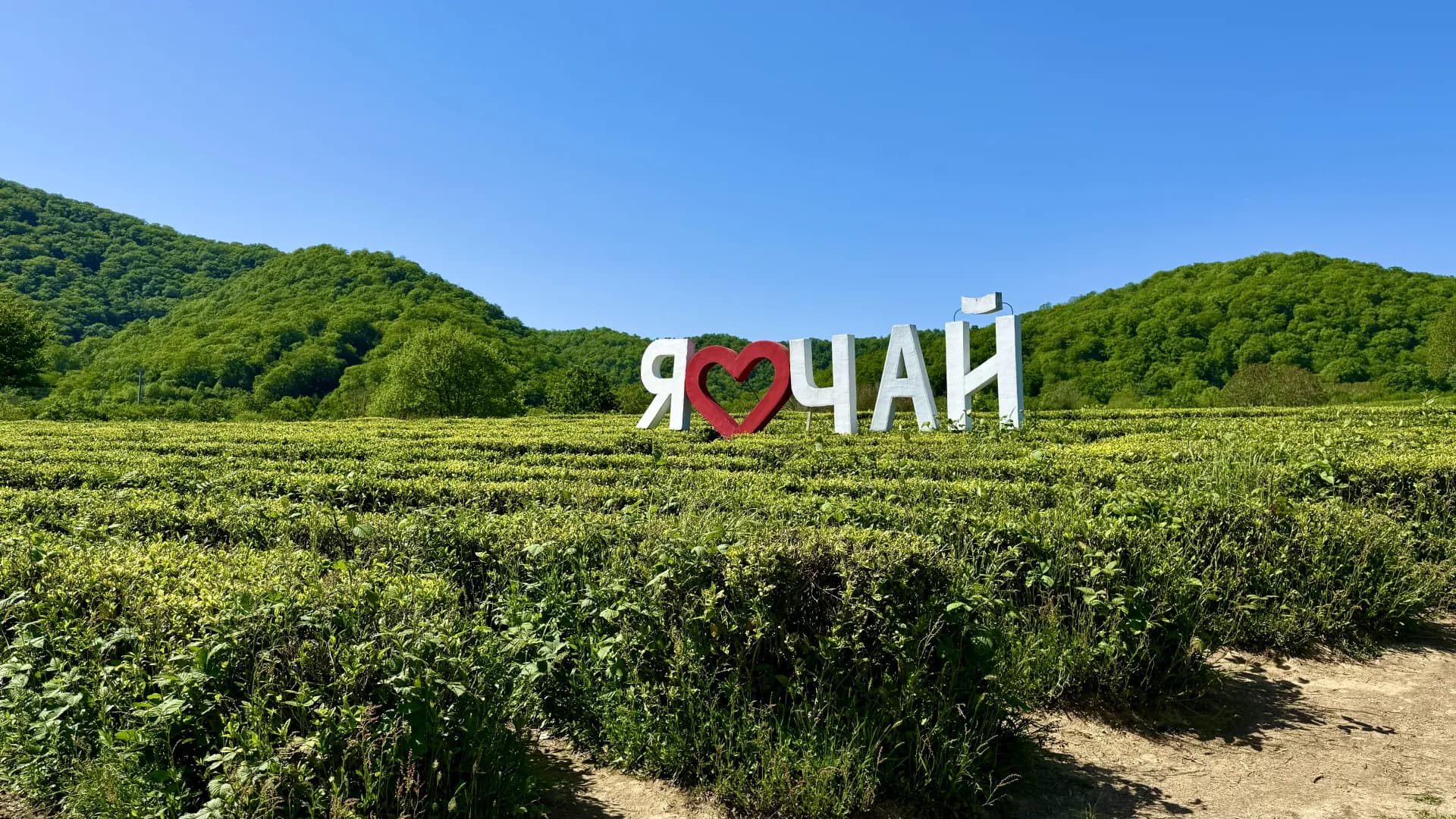 Изображение услуги2