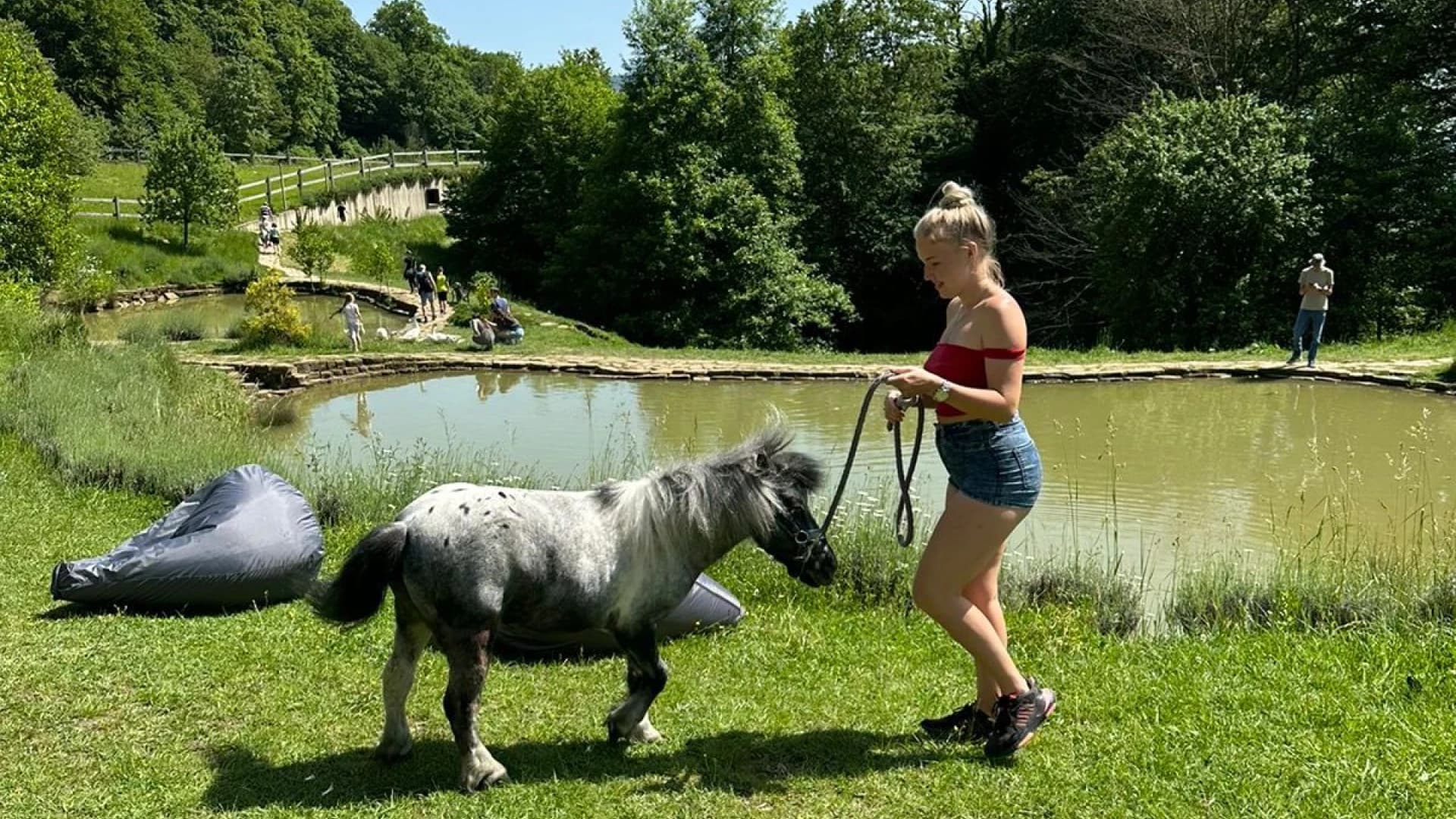 Изображение услуги2