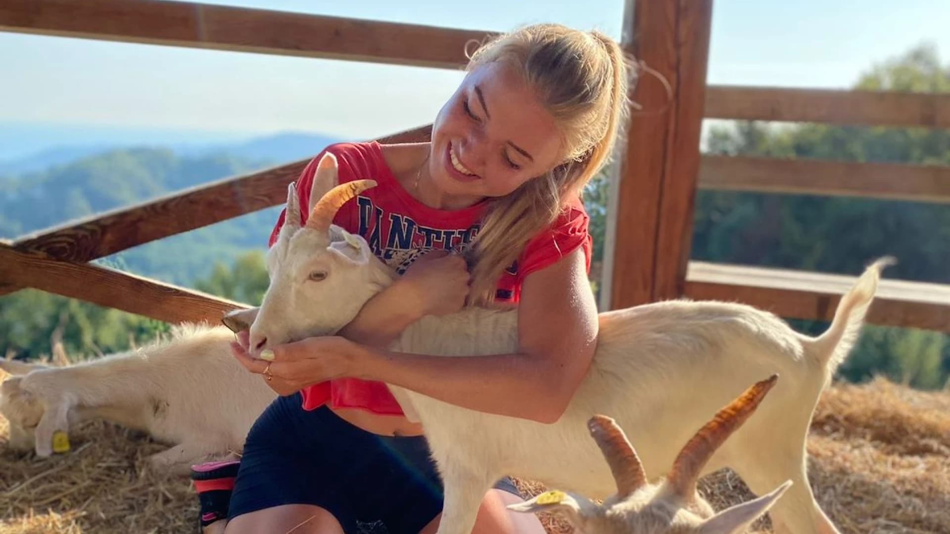 Изображение услуги5