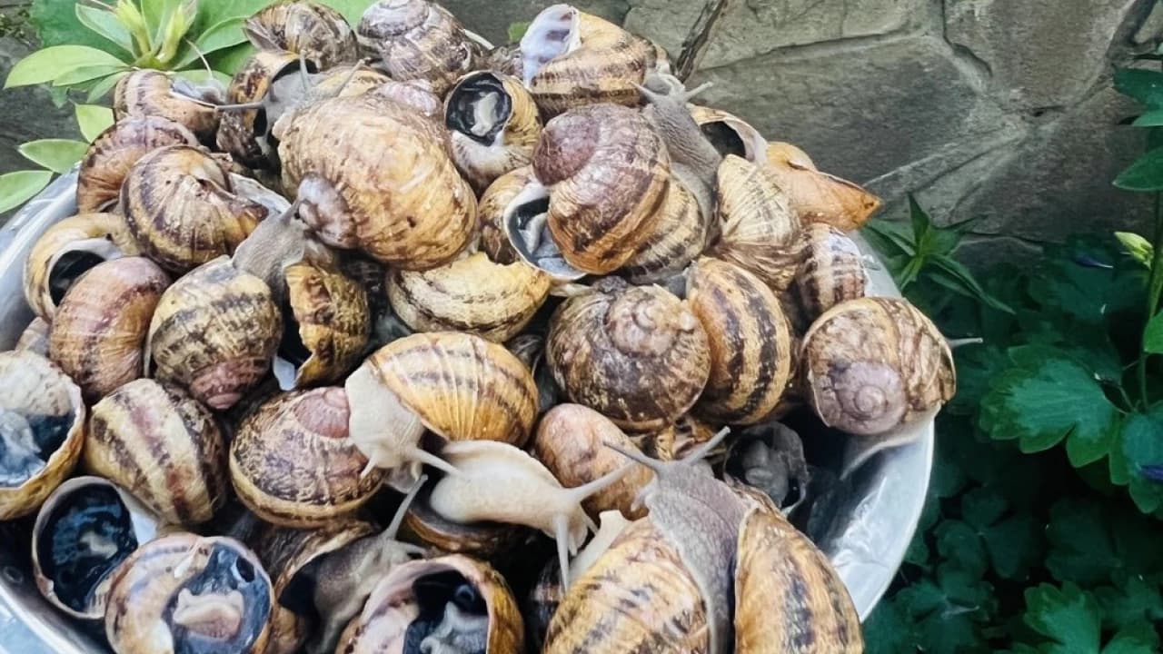 Изображение услуги2