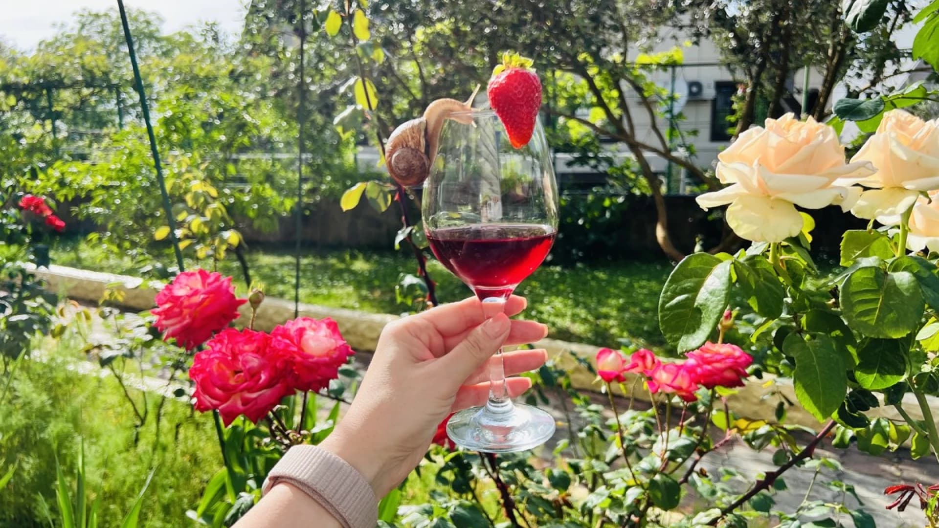 Изображение услуги6