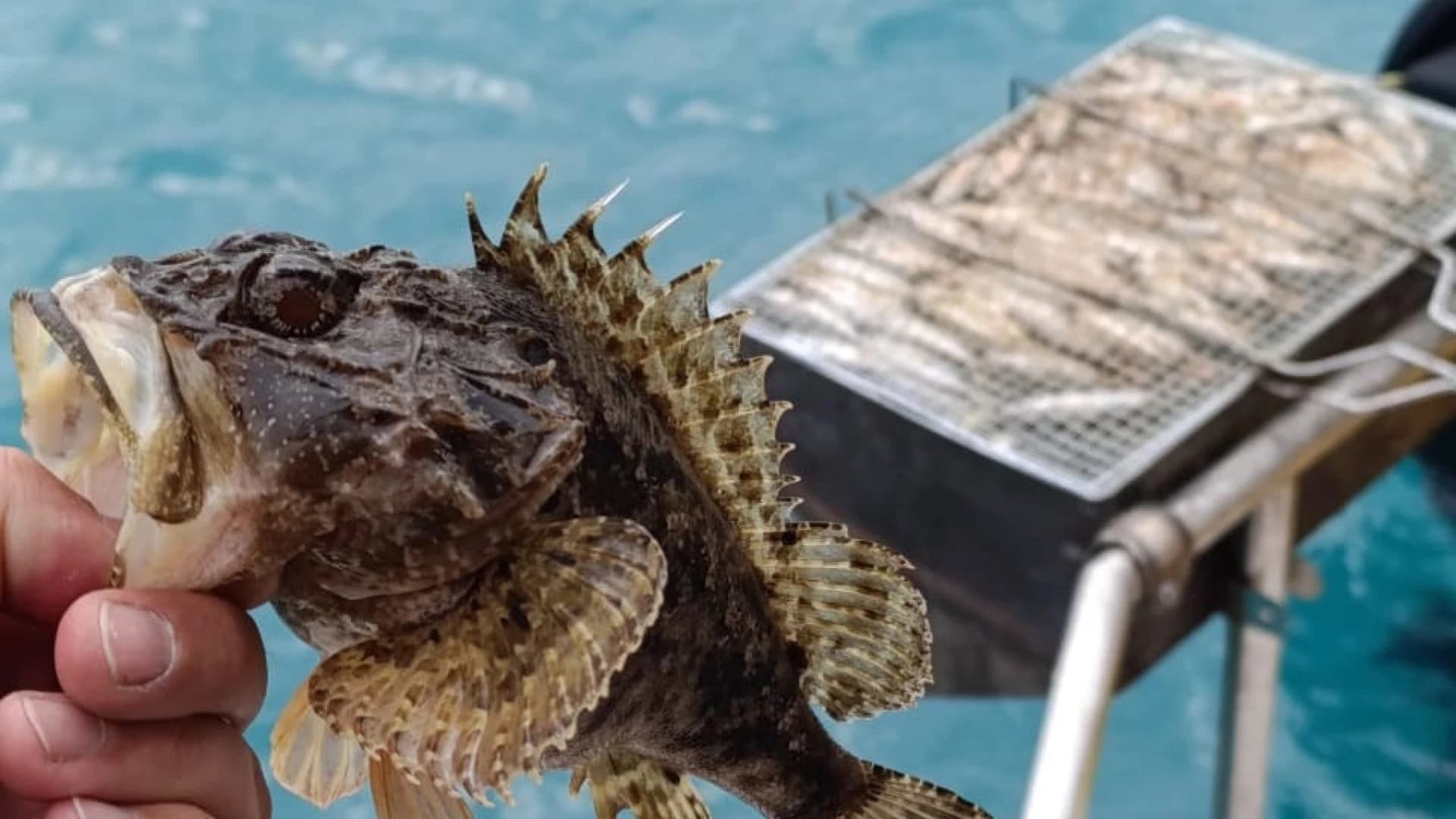 Изображение услуги6