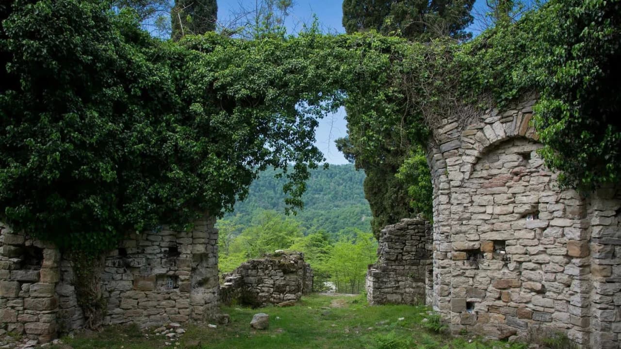 Изображение услуги8