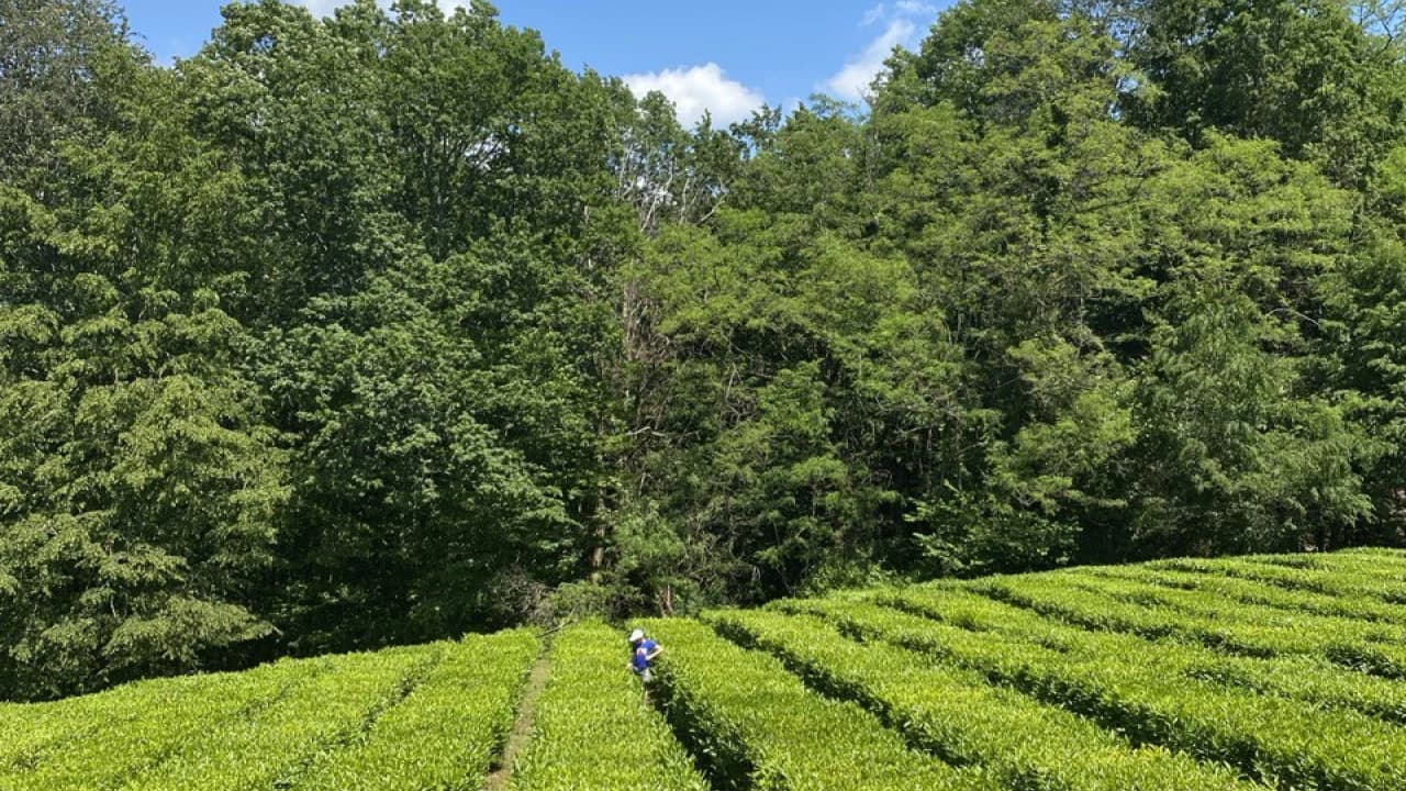 Изображение услуги4