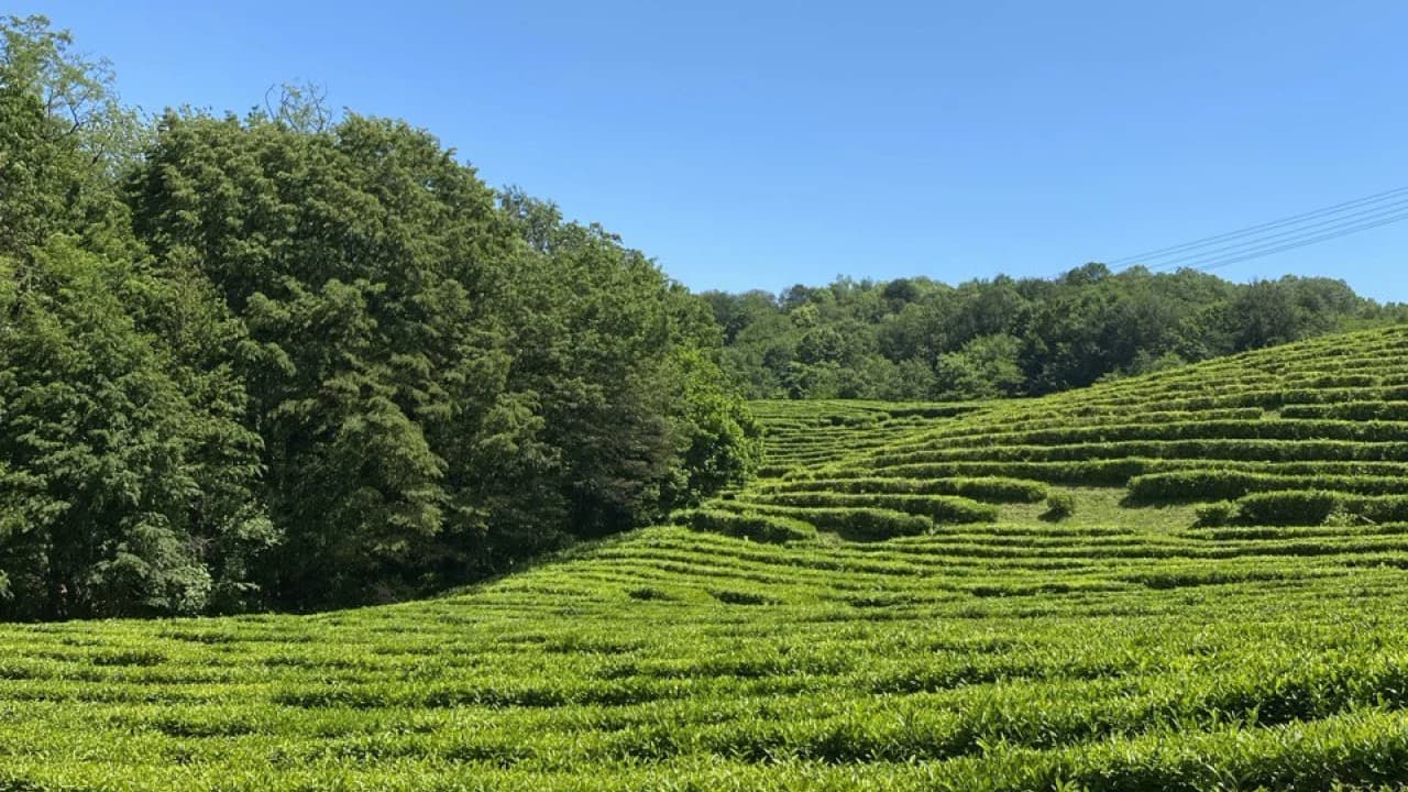 Изображение услуги5