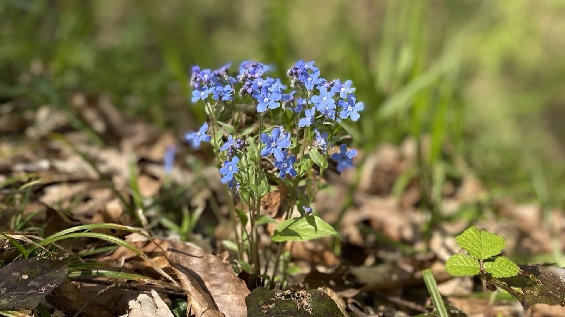 Изображение услуги4