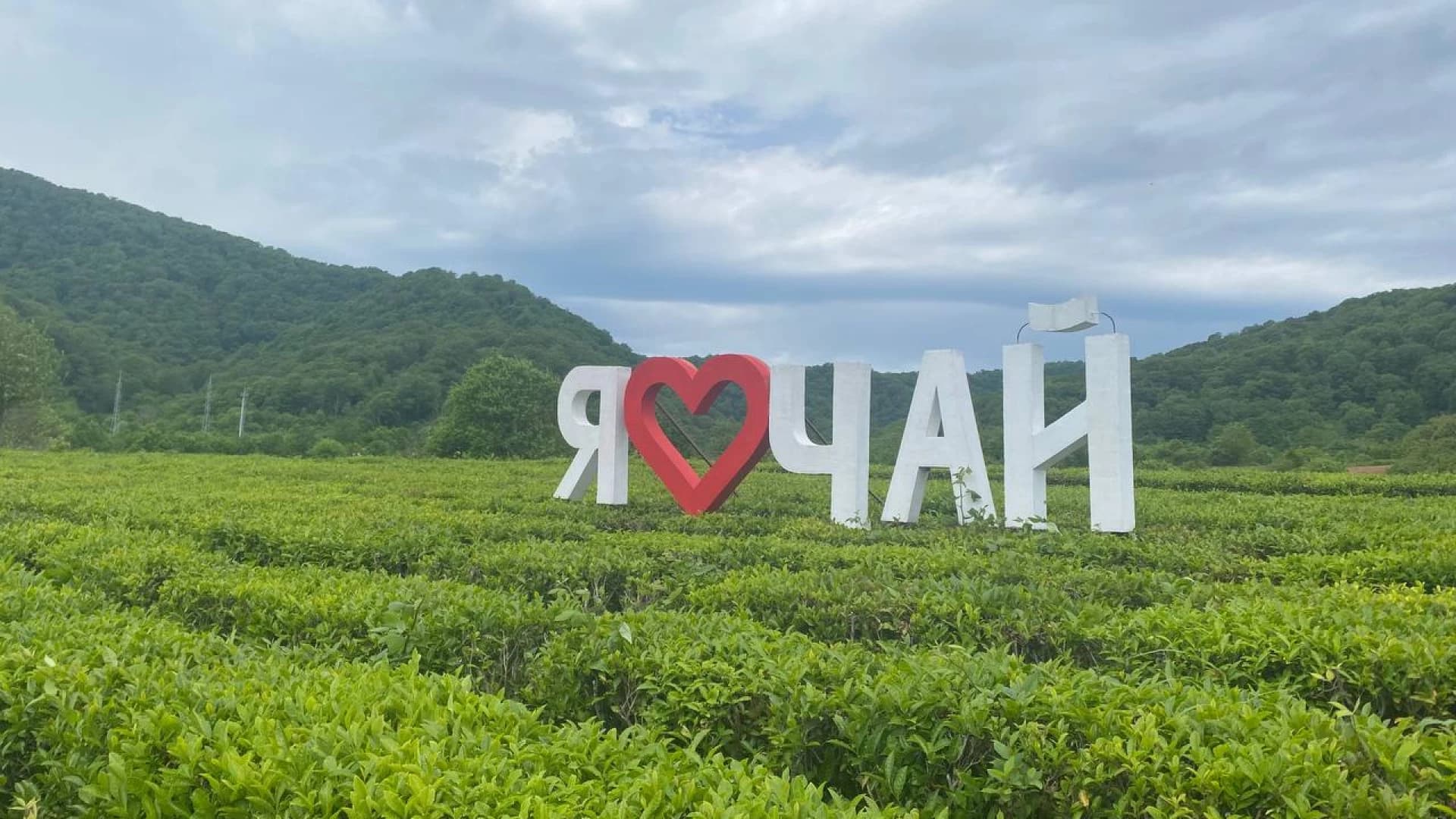 Изображение услуги2