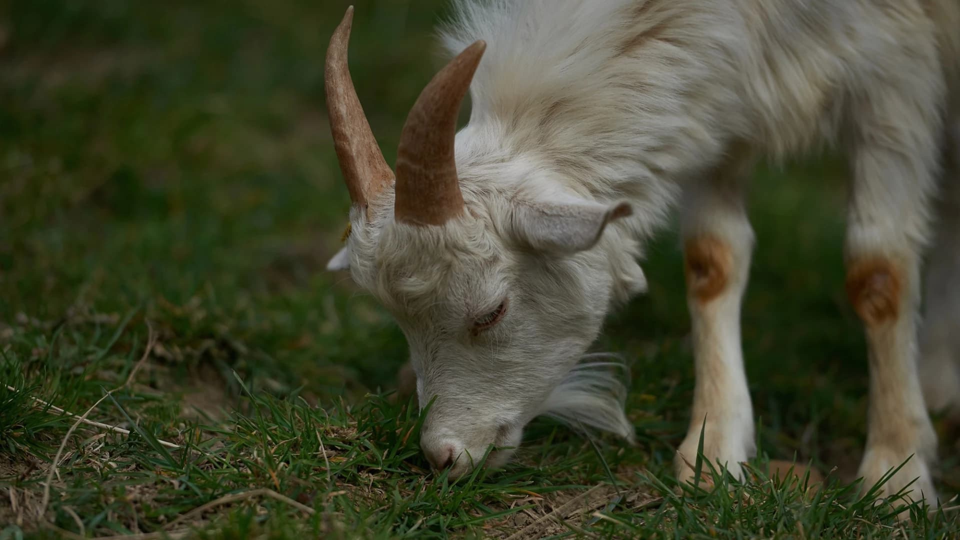 Изображение услуги4