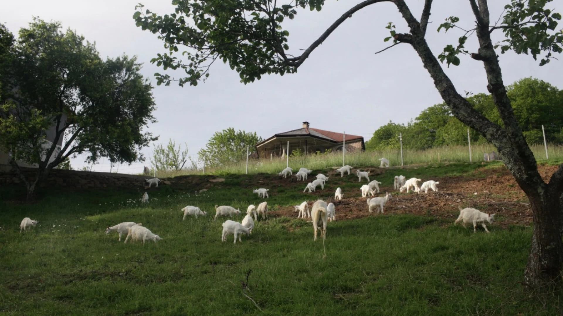 Изображение услуги5