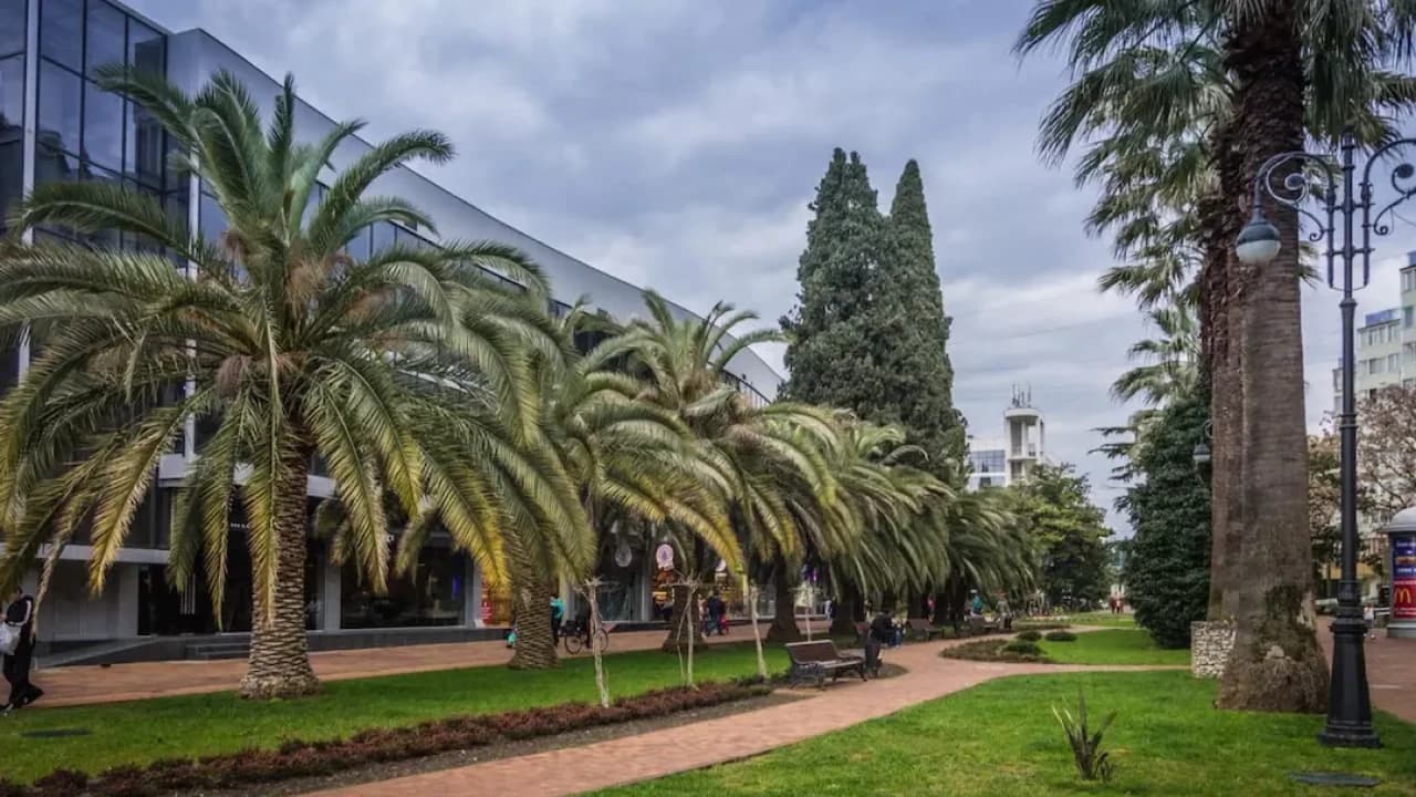 Изображение услуги3