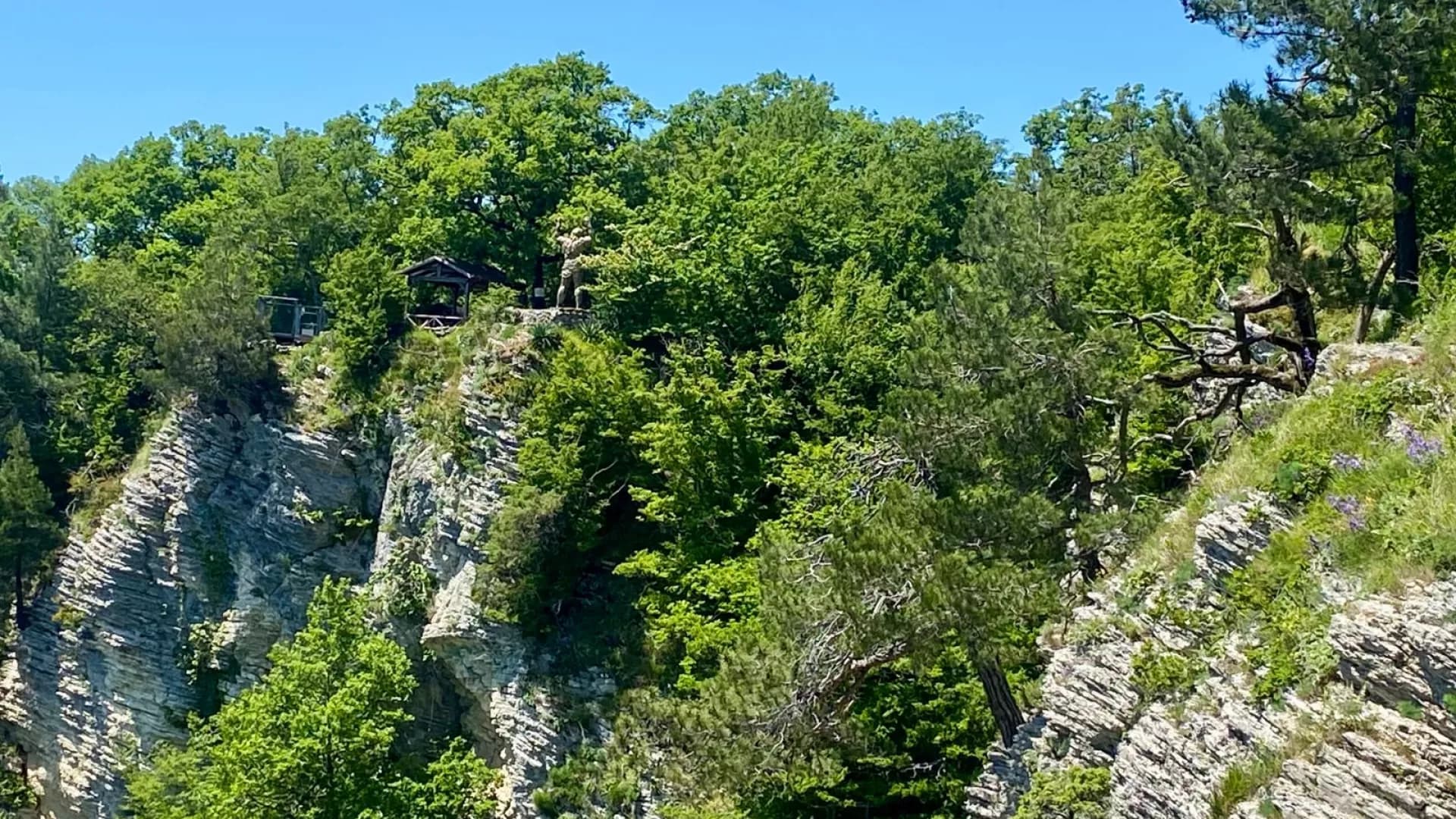 Изображение услуги5