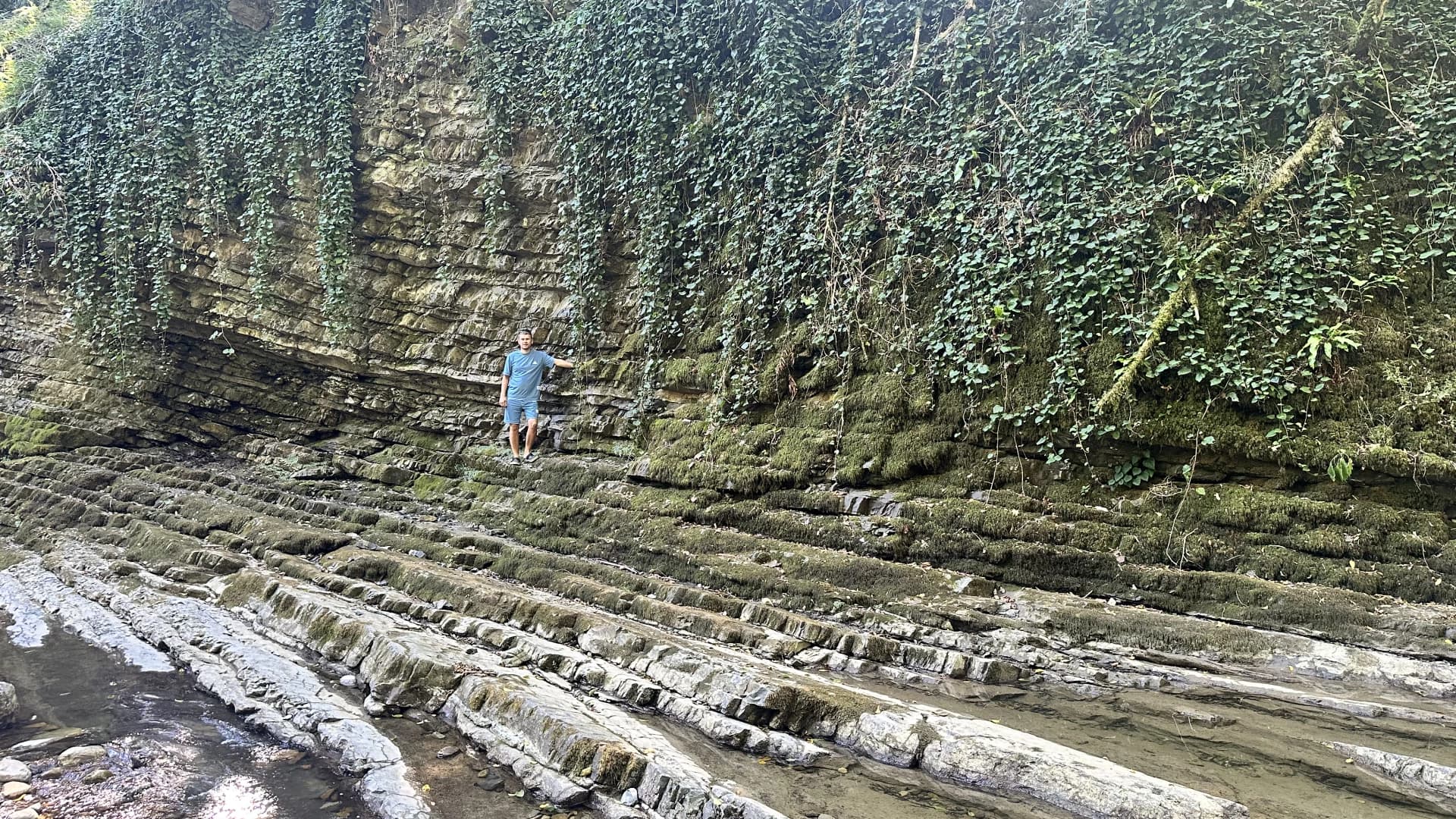 Изображение услуги1