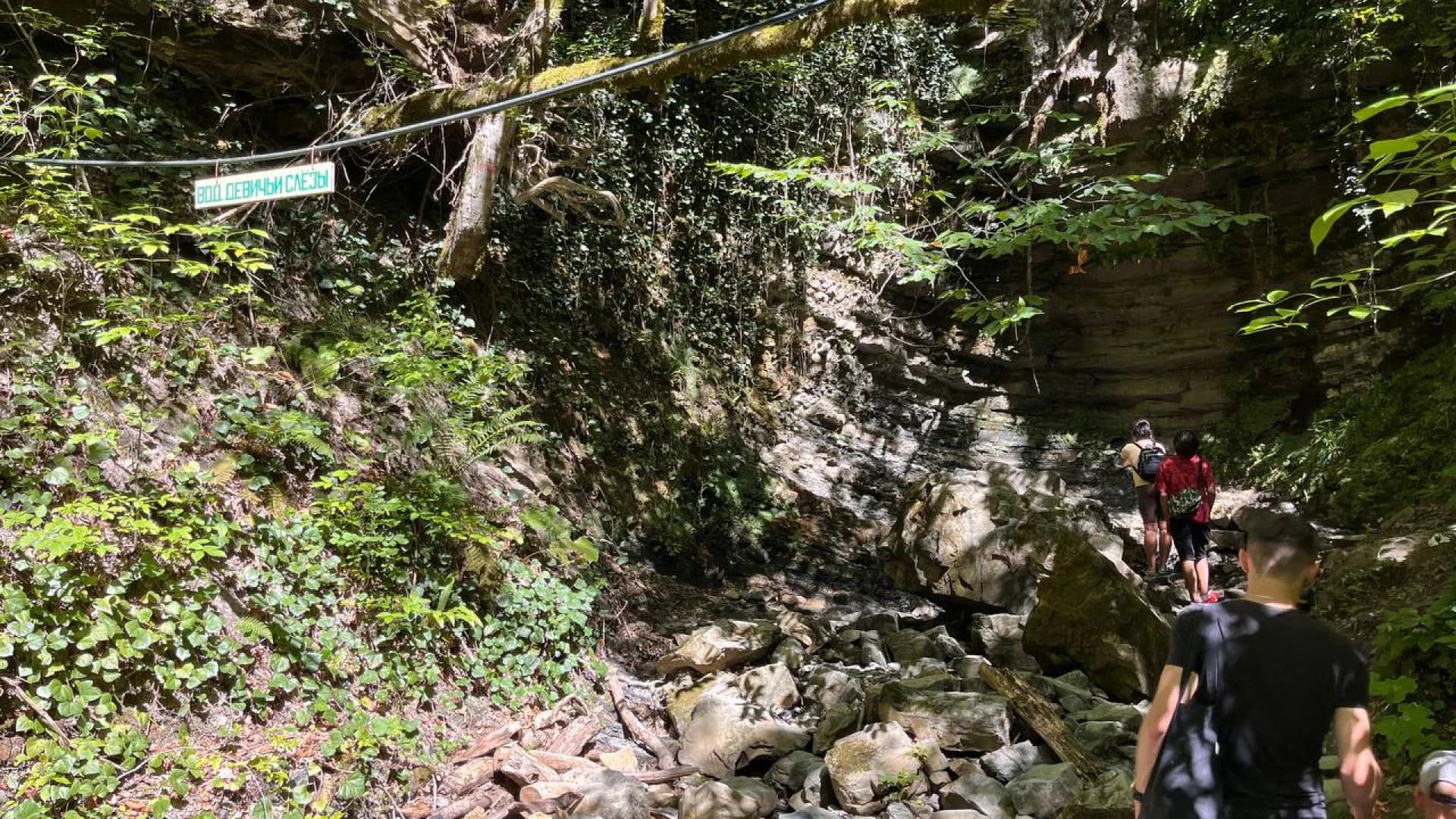 Изображение услуги4