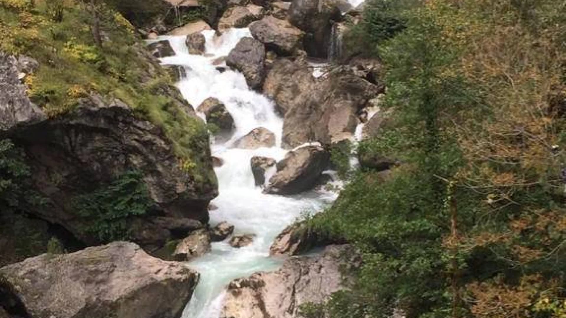 Изображение услуги6