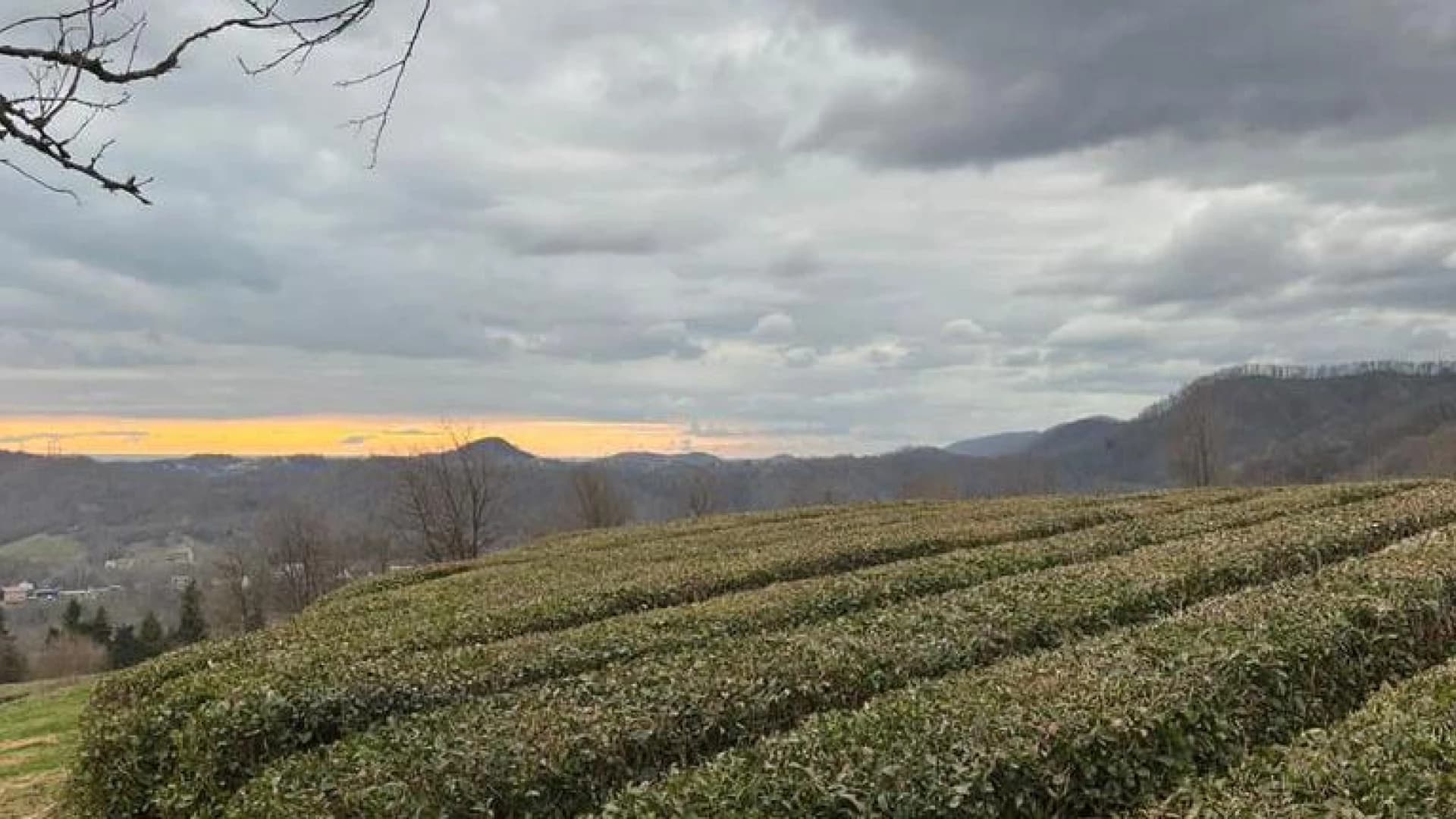 Изображение услуги9