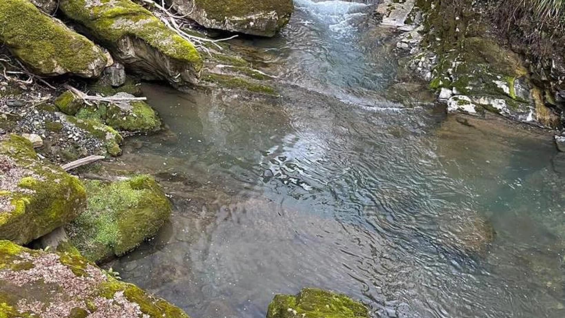 Изображение услуги10