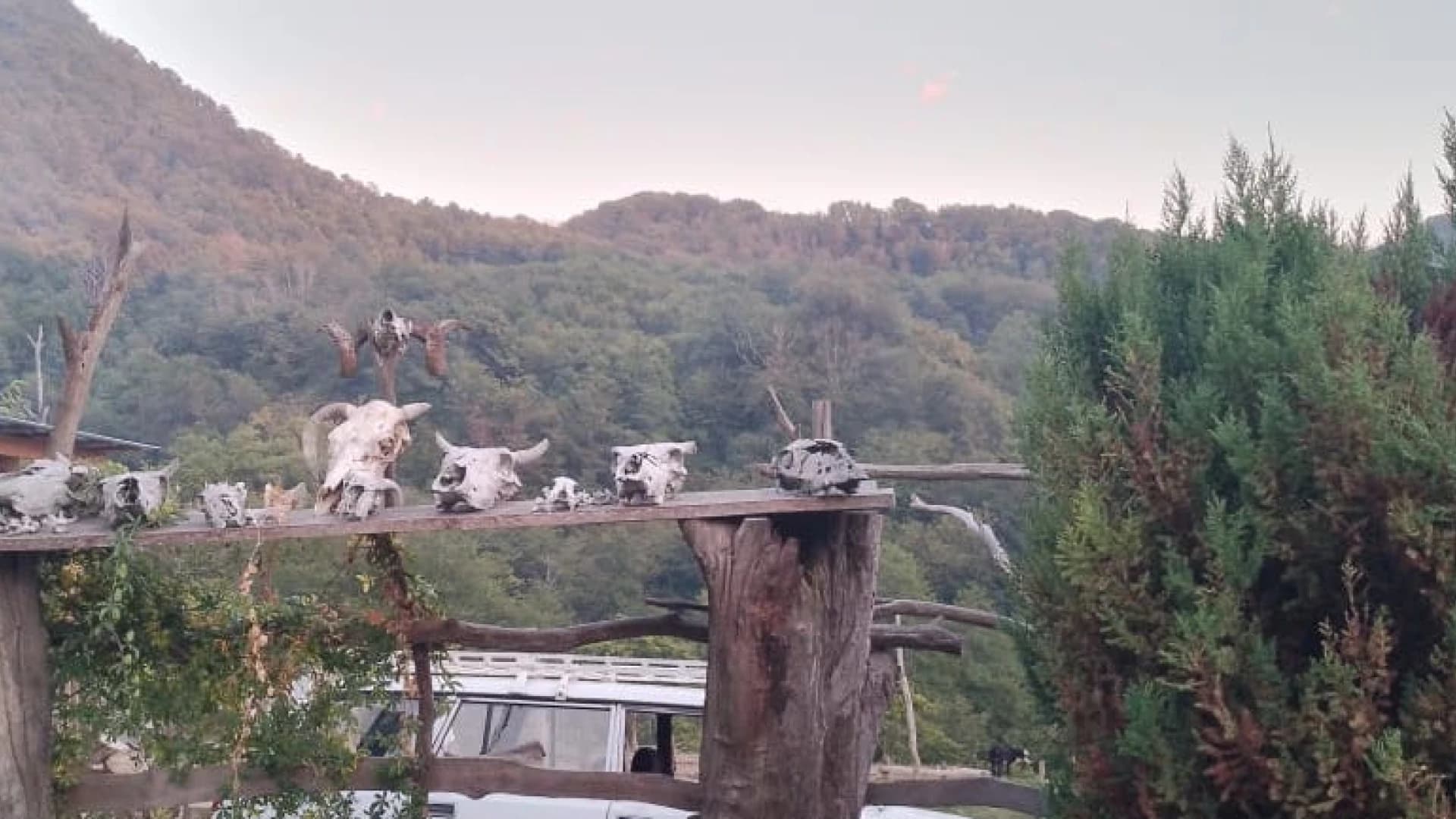 Изображение услуги2