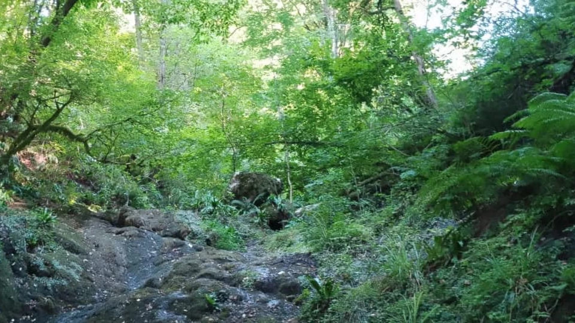 Изображение услуги6