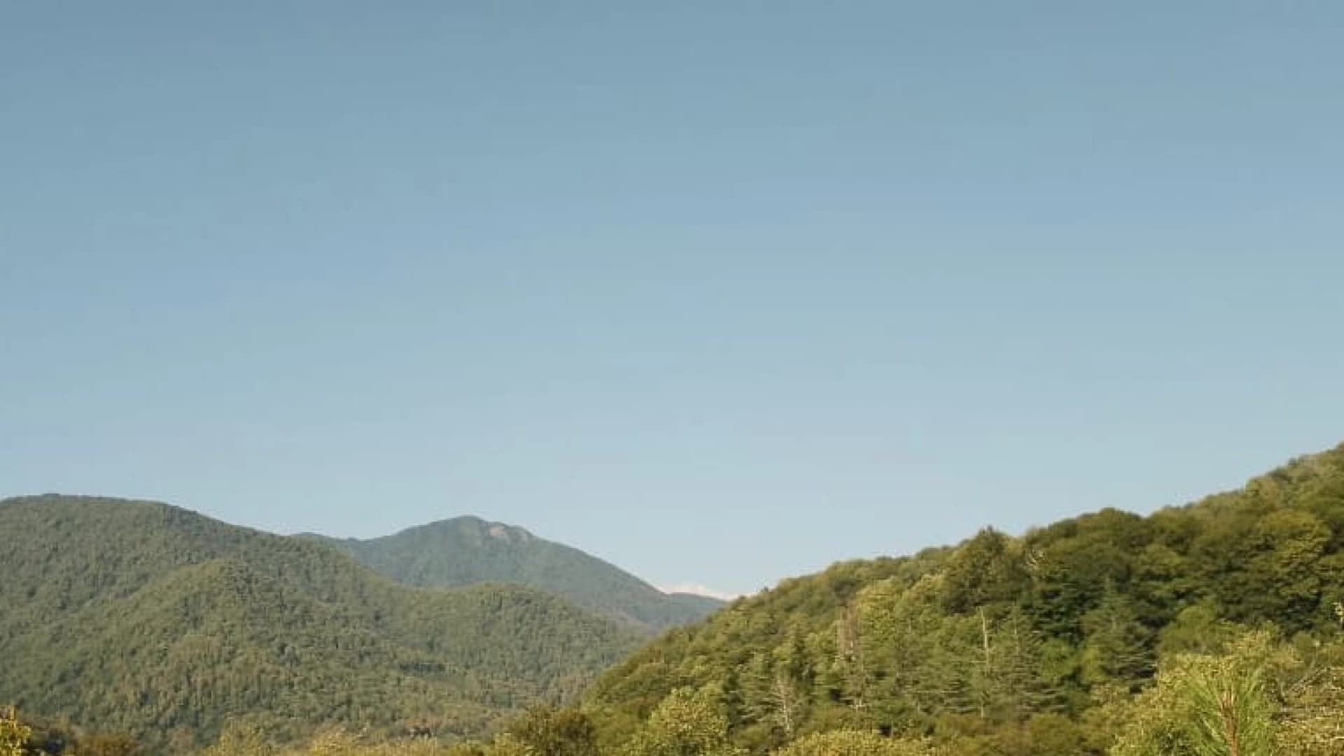 Изображение услуги9