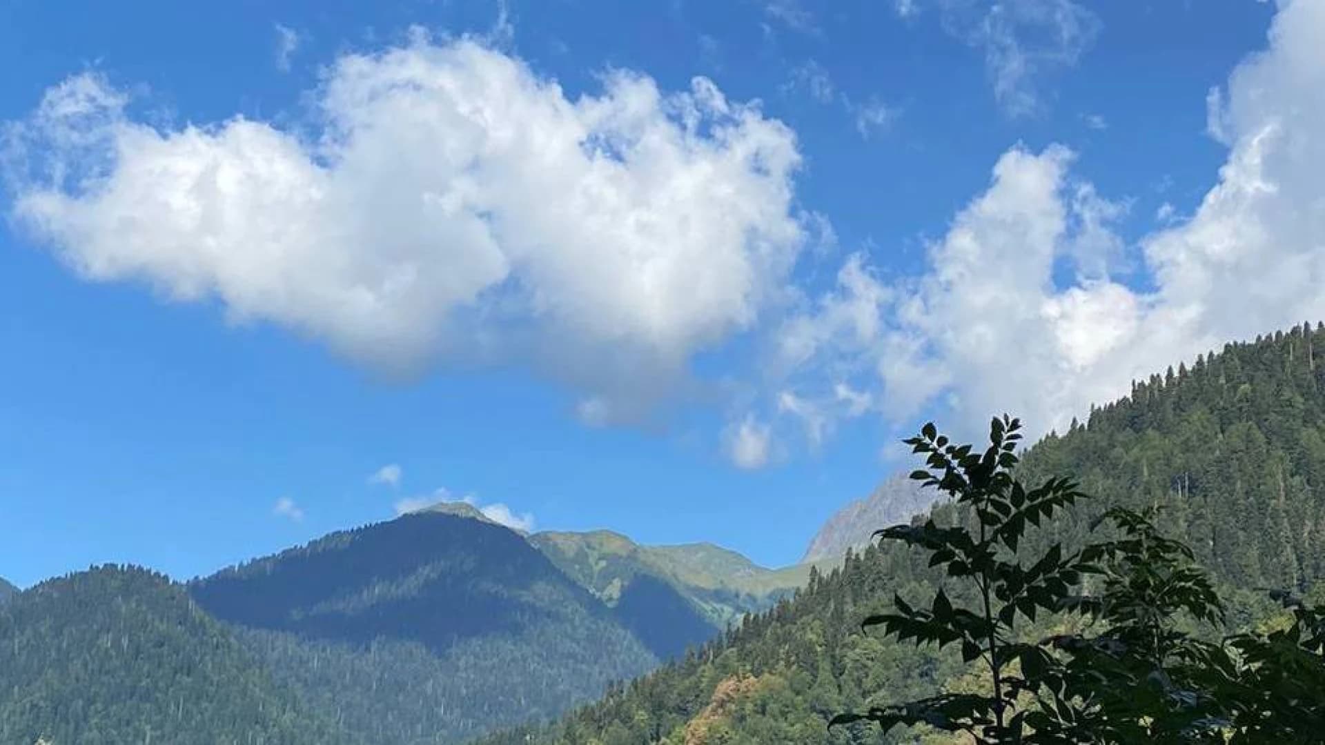 Изображение услуги8