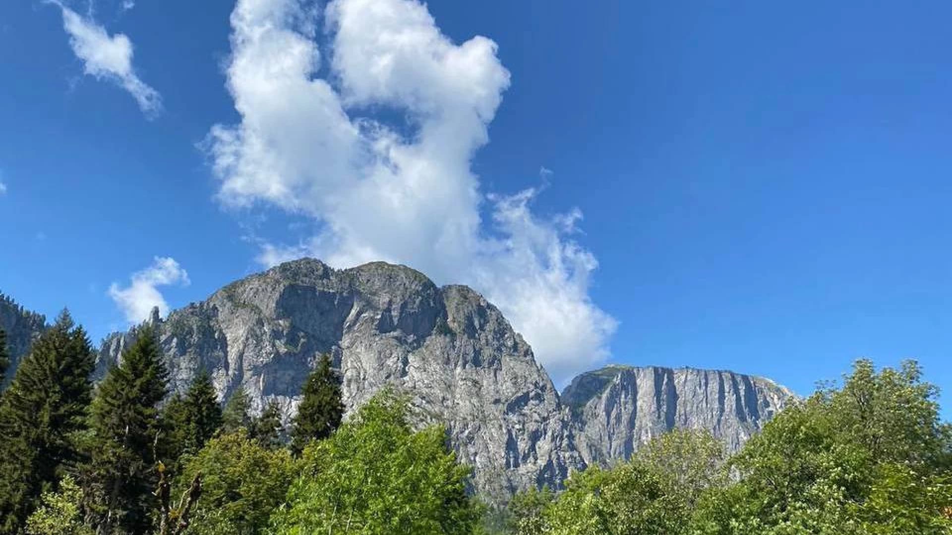 Изображение услуги9