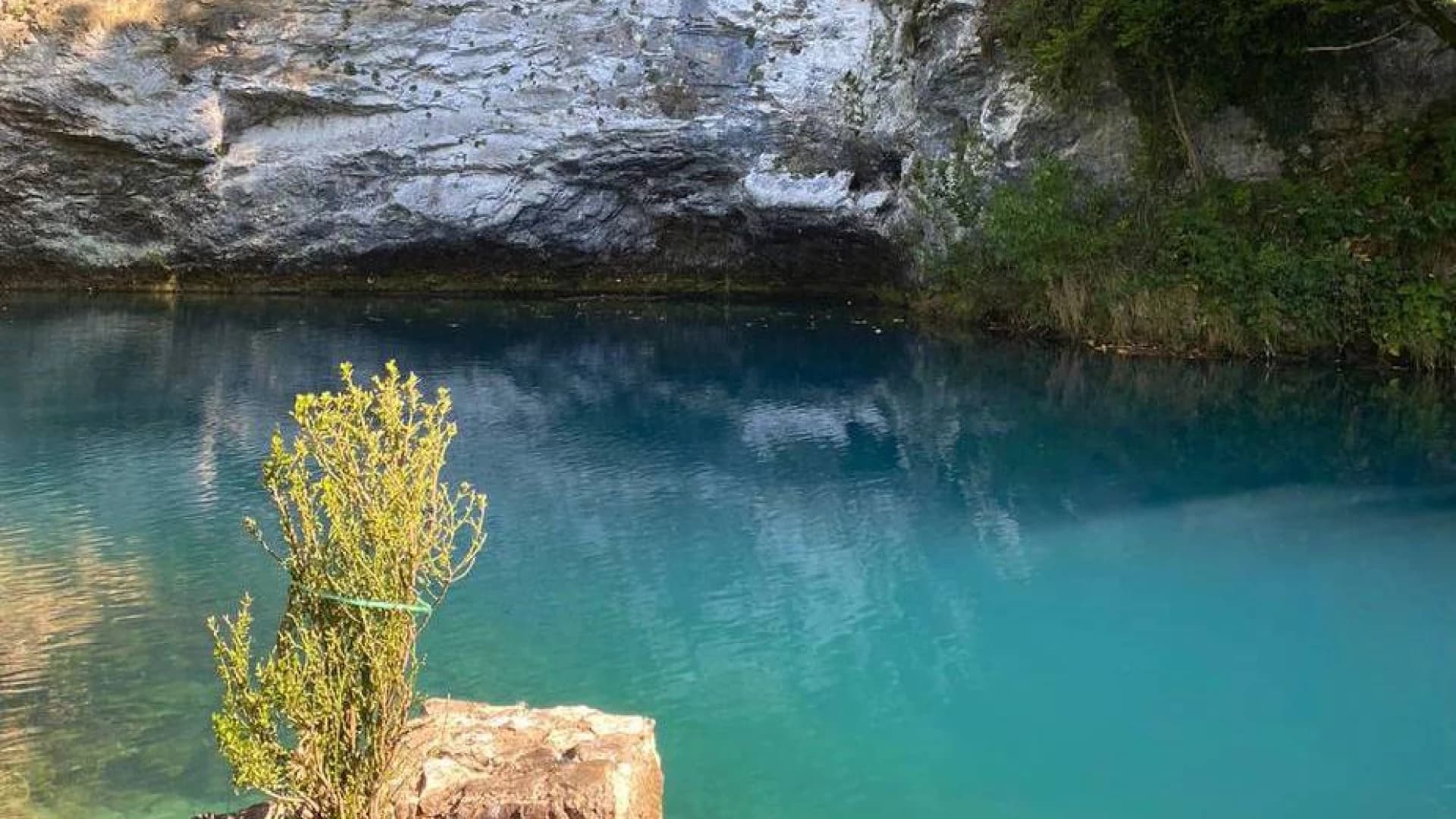 Изображение услуги11