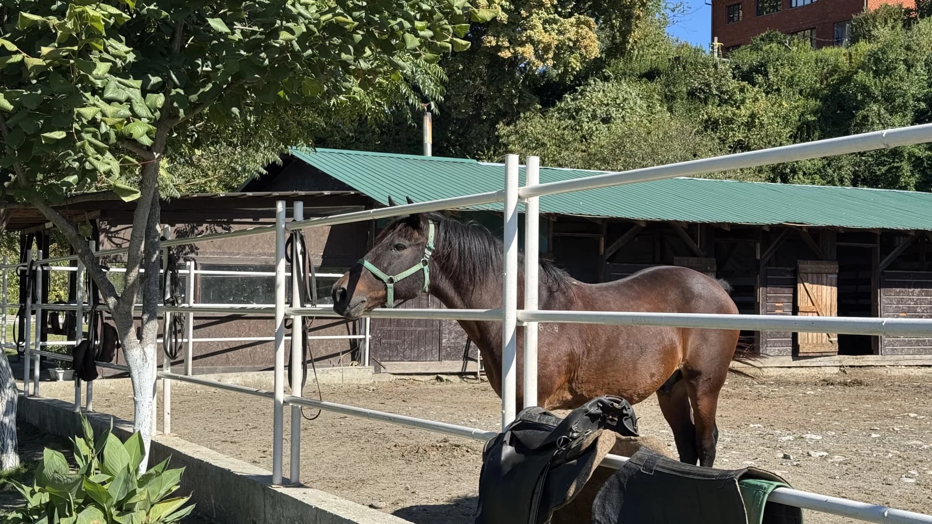 Изображение услуги3