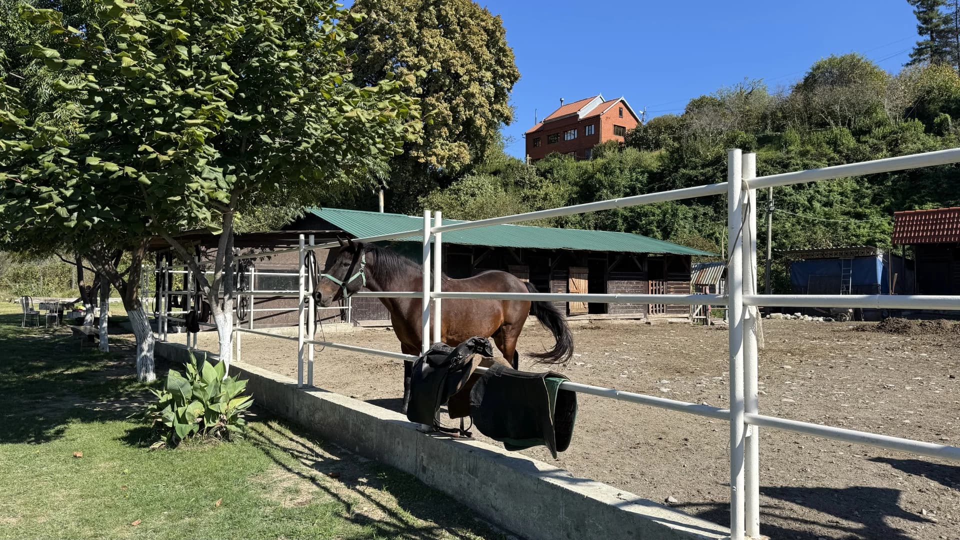 Изображение услуги4