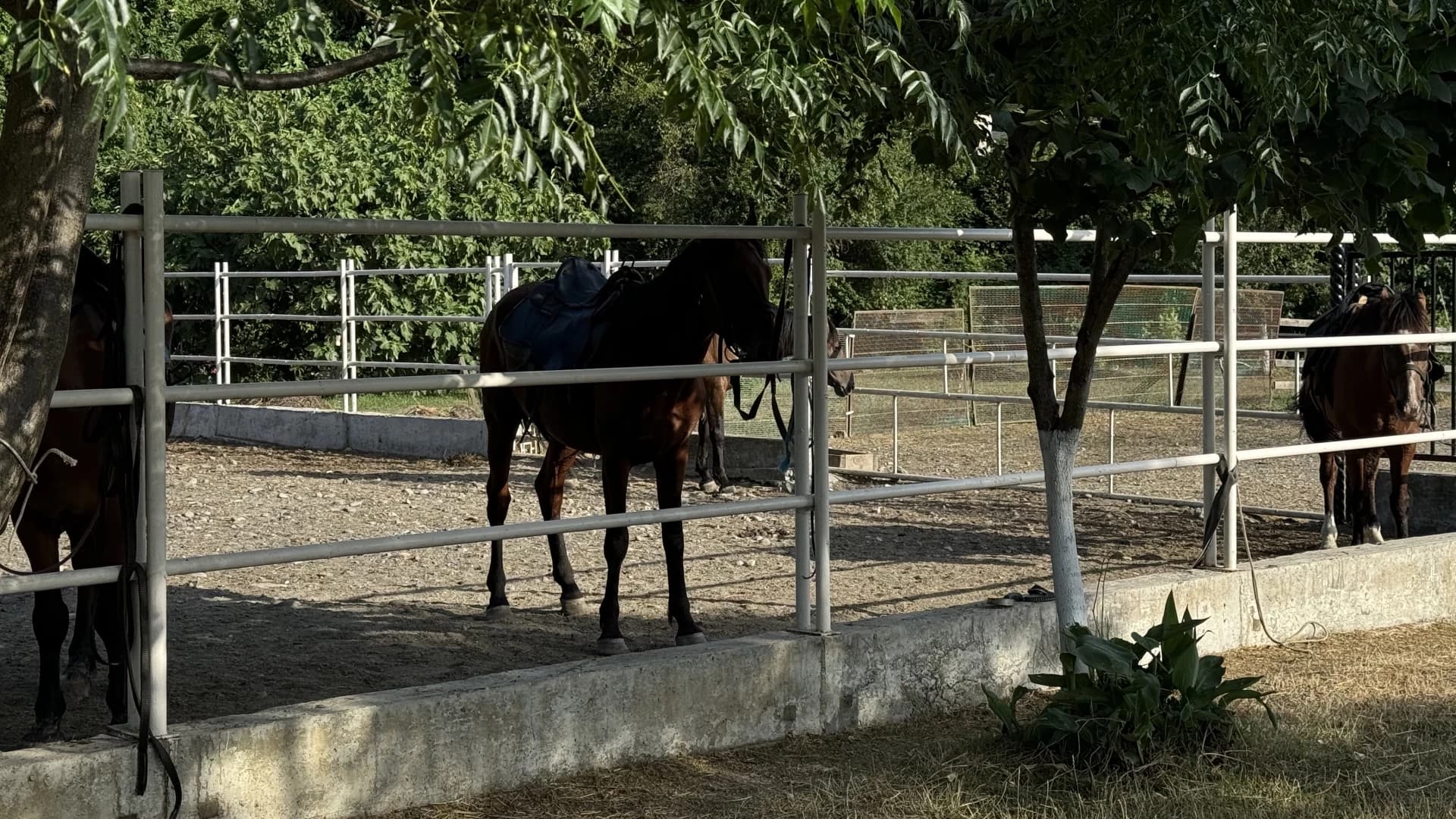 Изображение услуги6