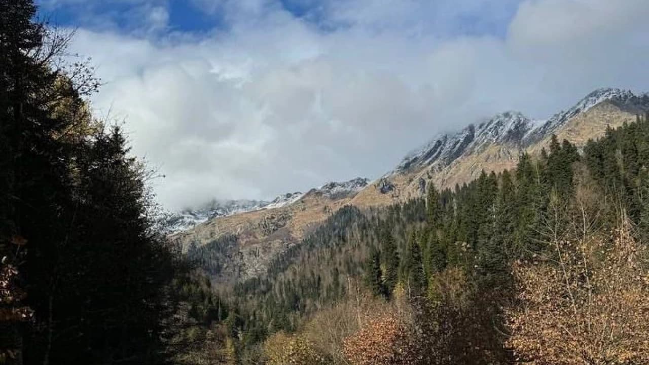 Изображение услуги7