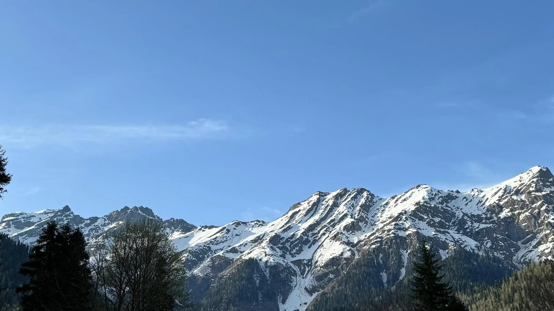 Изображение услуги11