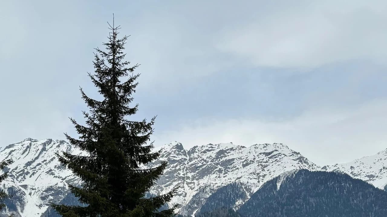 Изображение услуги12