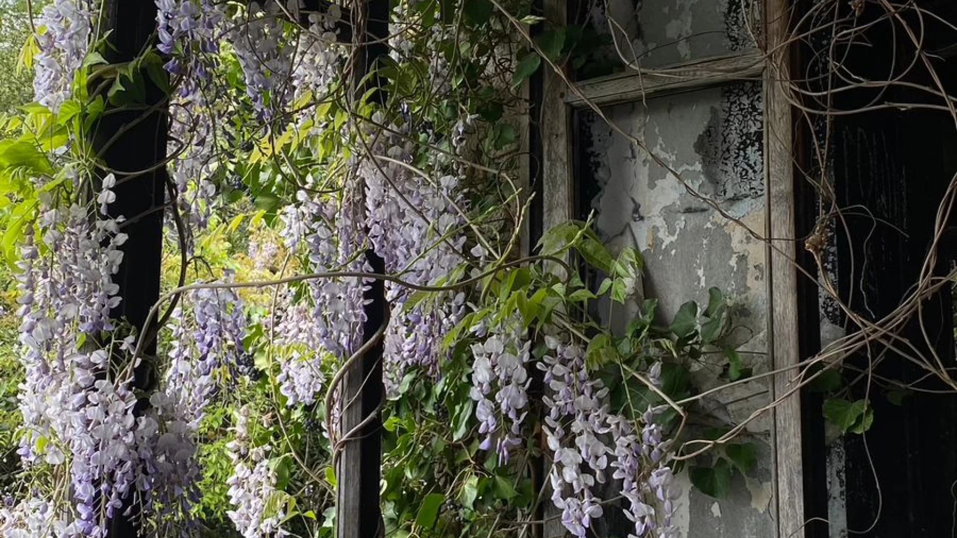 Изображение услуги11