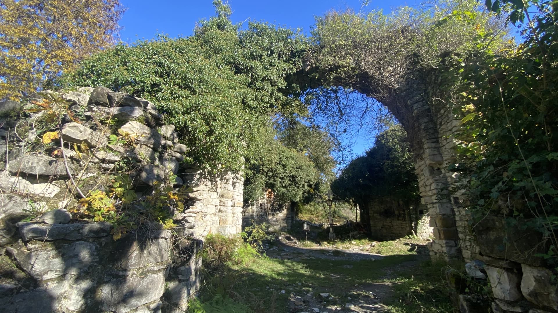 Изображение услуги5