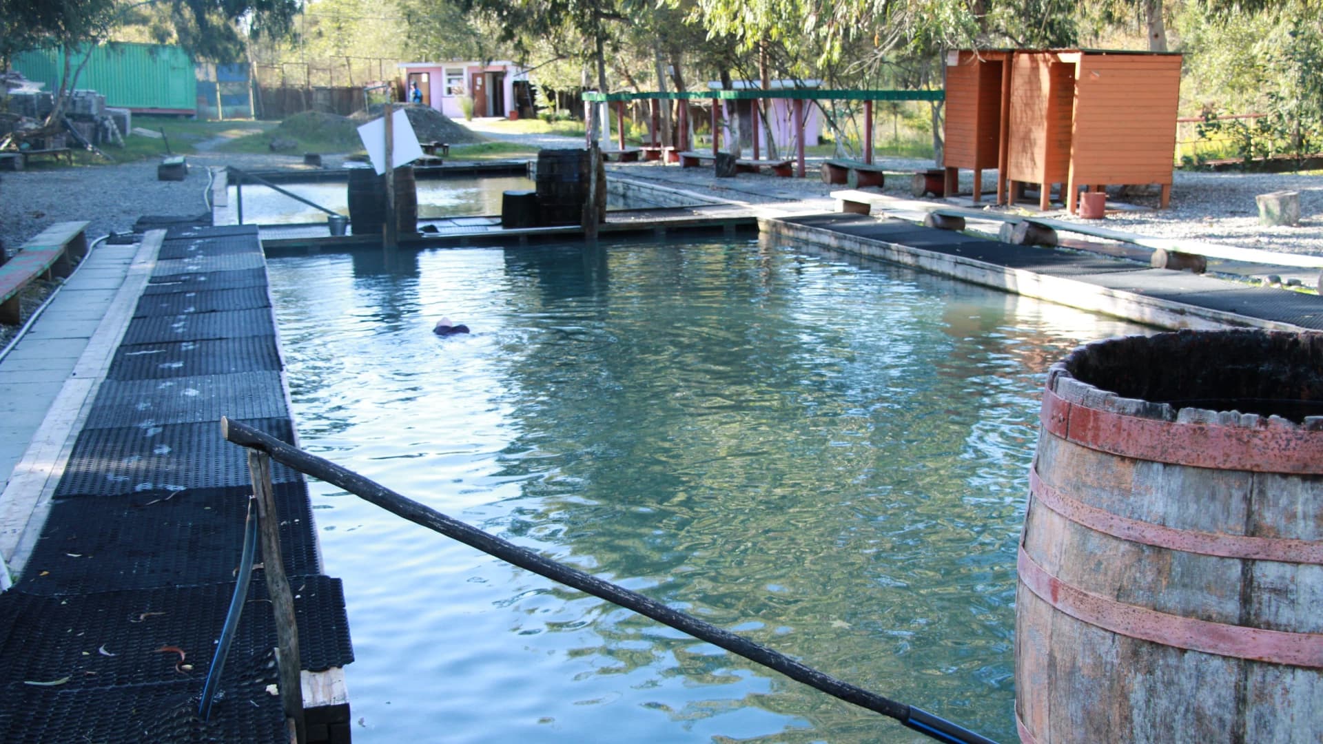 Изображение услуги6