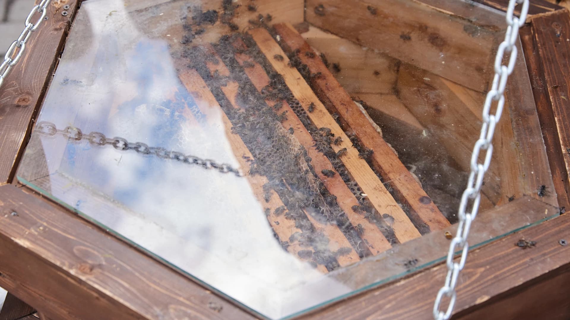 Изображение услуги7