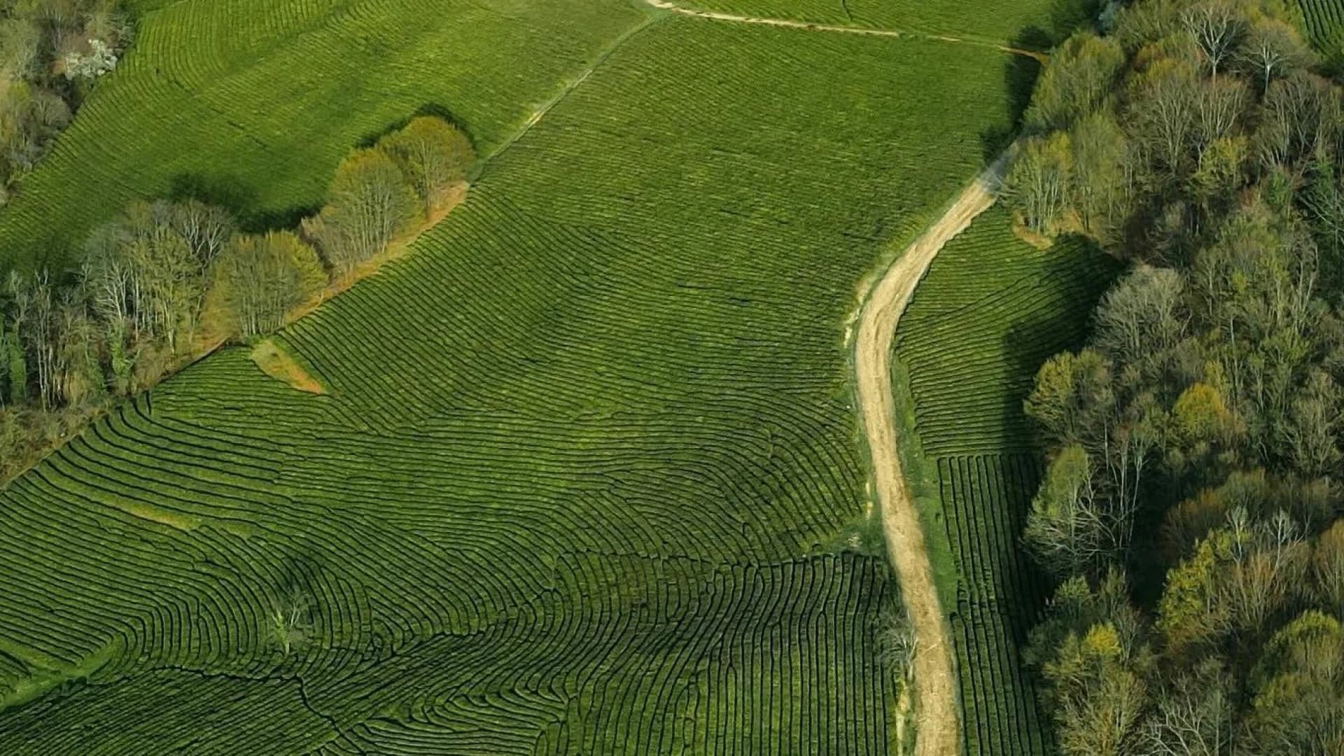 Изображение услуги2