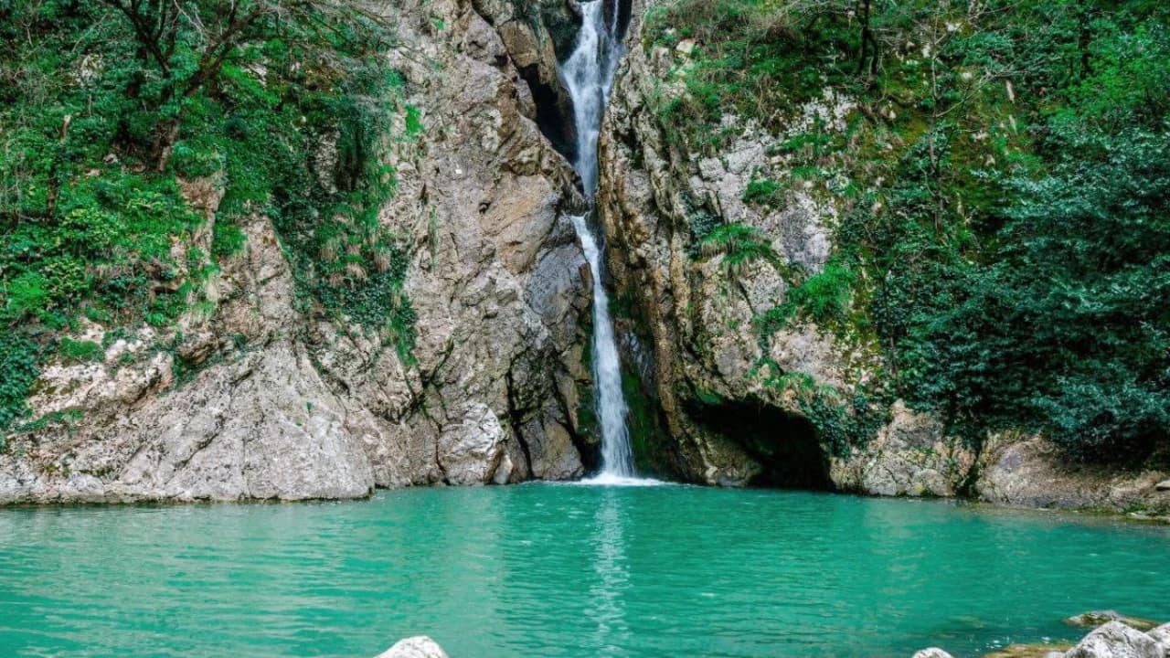 Изображение услуги6