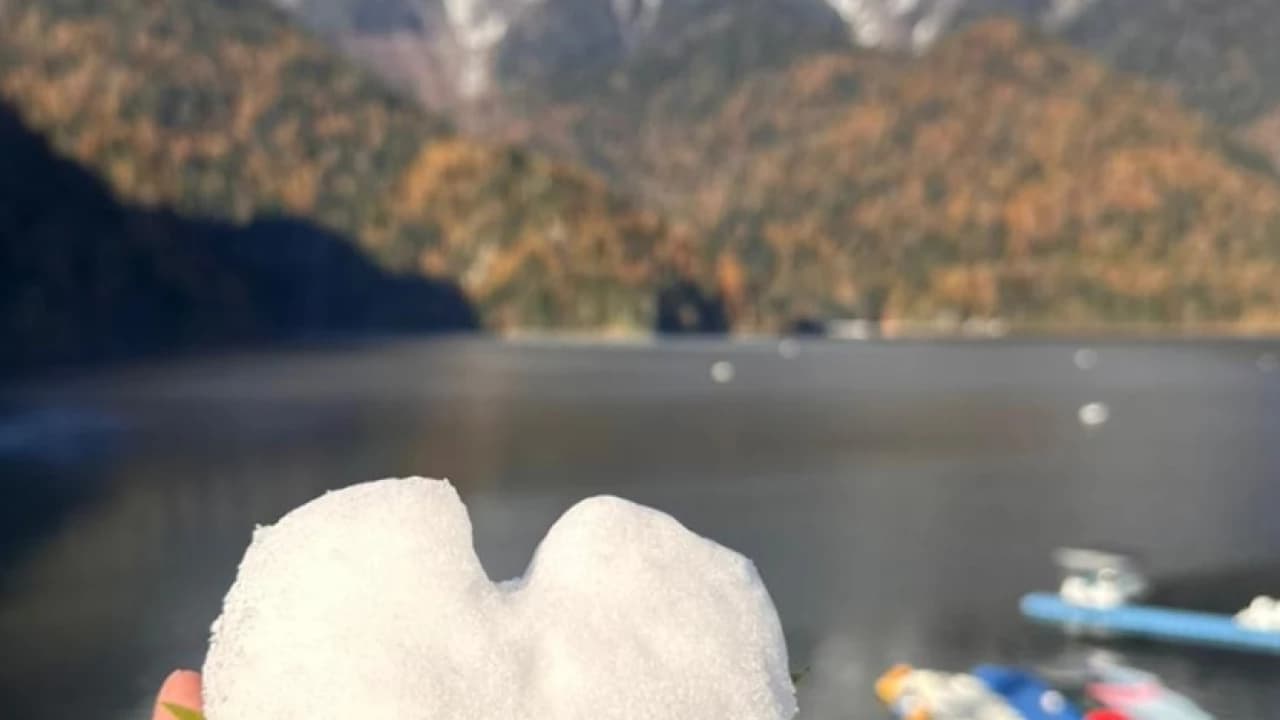 Изображение услуги1