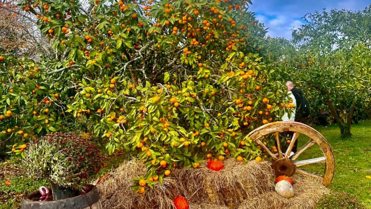 Изображение услуги2