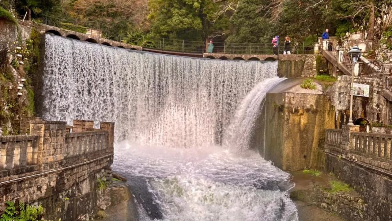 Изображение услуги3