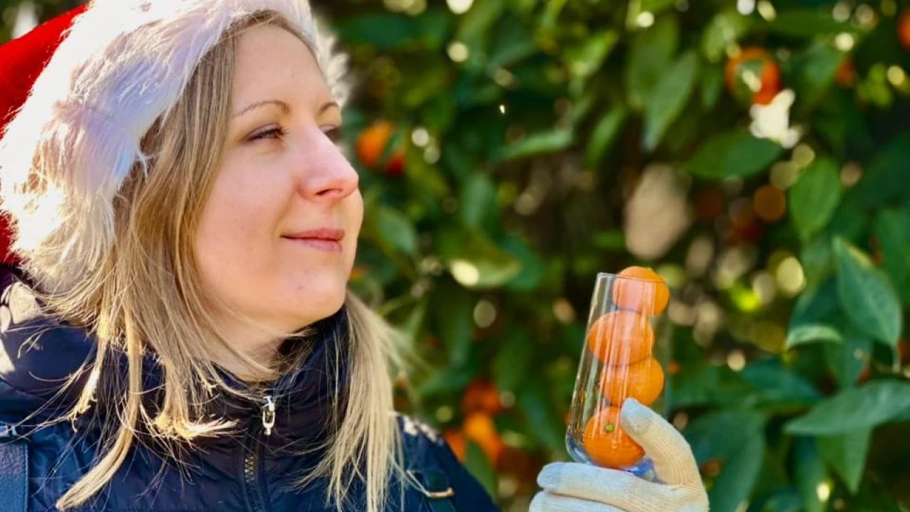 Изображение услуги7