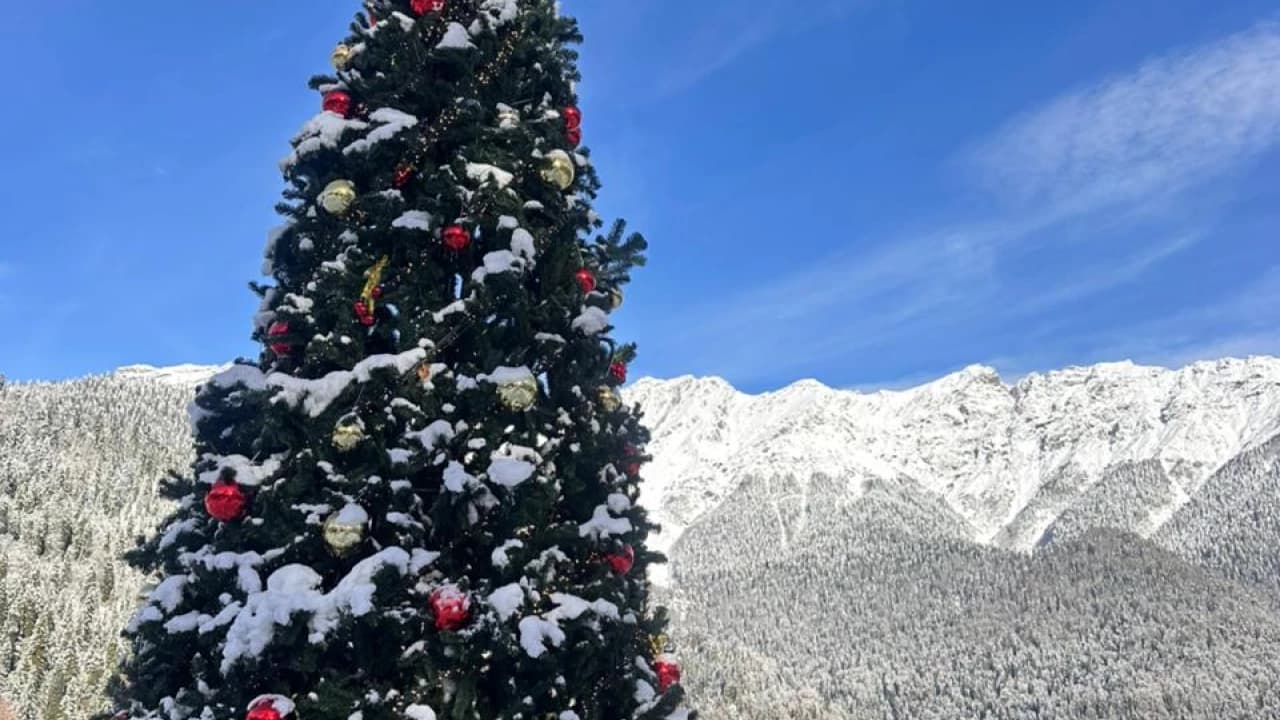 Изображение услуги9