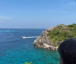 Симиланы: восторг!